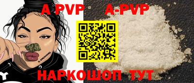 стаф Кинель