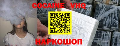 гашик Кингисепп
