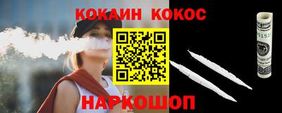 гашик Кингисепп