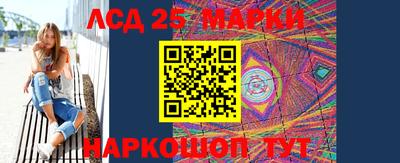 гашик Кингисепп