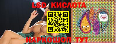 гашик Кингисепп