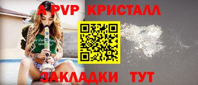 стаф Кинель