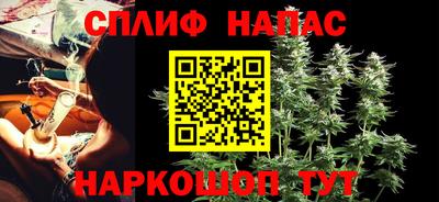 гашик Кингисепп