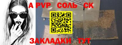 гашик Кингисепп