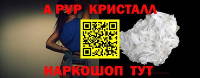 гашик Кингисепп