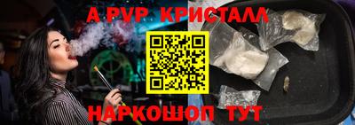 гашик Кингисепп