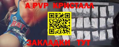 стаф Кинель