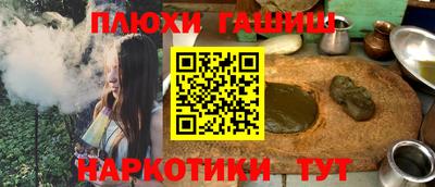 гашик Кингисепп