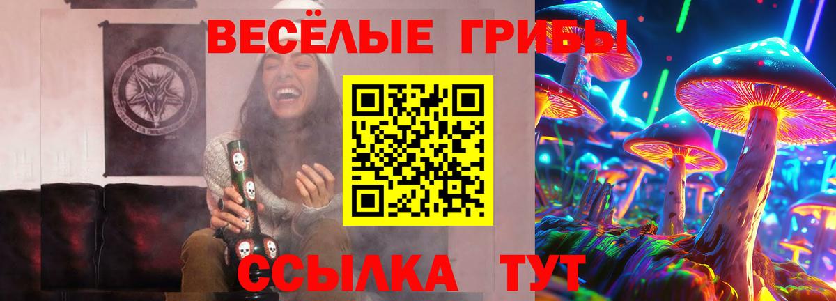 Унеча  Галлюциногенные грибы прущие грибы  купить   Вход с VPN 