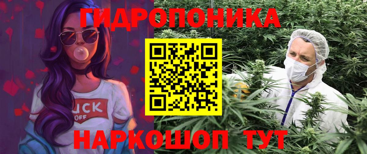 Унеча  МАРИХУАНА Bruce Banner  Канабис SATIVA & INDICA  Вход с VPN  Марихуана планчик 